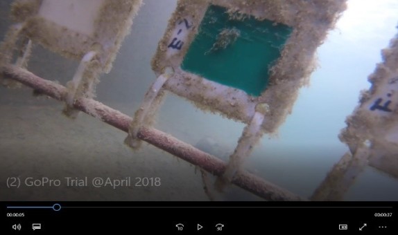 Nippon Paint Marine, Gemi Gövde Denetimleri için Yeni bir Çözüm Geliştirdi