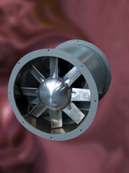 Emak'tan aksiyal fanlar